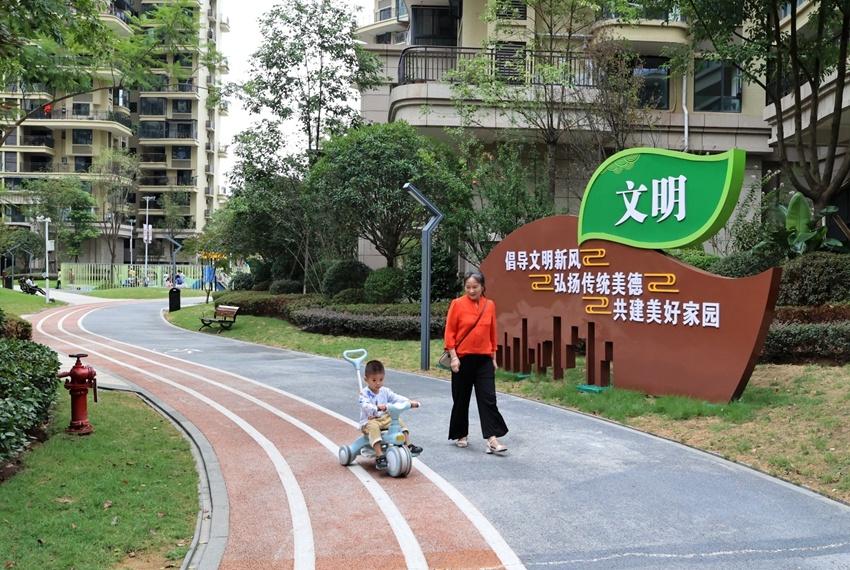 乐至县未来城市流动蓝图，最新交通规划图揭晓