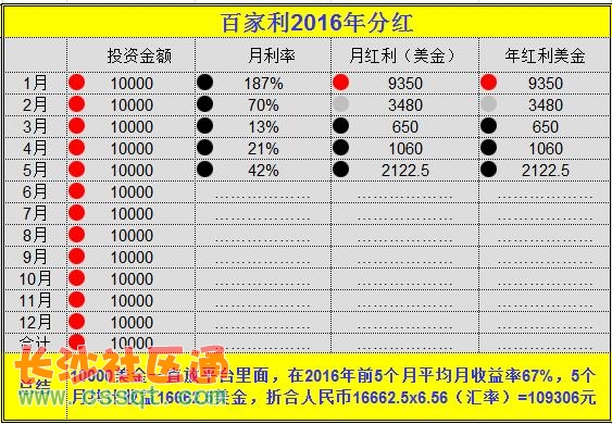 百家利投资最新消息深度解读与分析