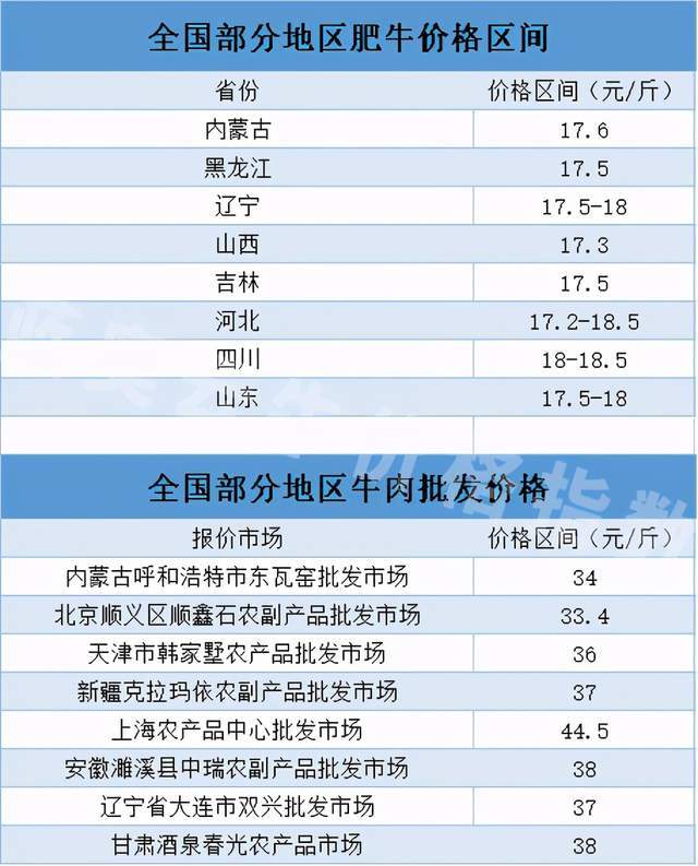 最新科技趋势下的创新突破与探索之旅，聚焦关键词最新一