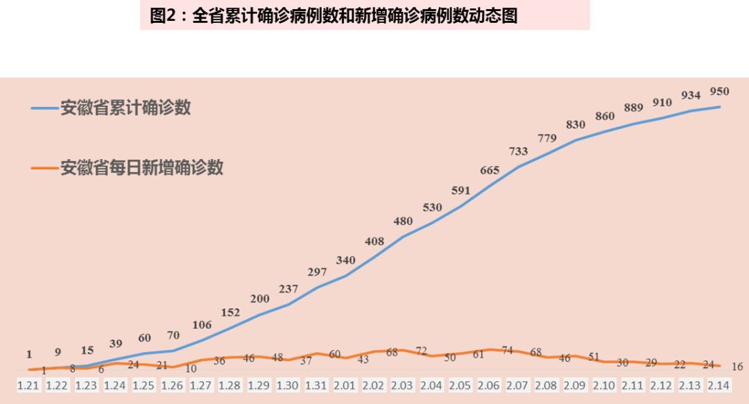 最新疫情报告深度解读与分析