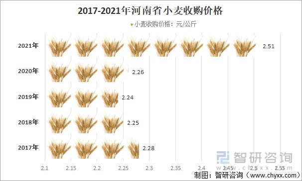 江苏小麦今日价格动态解析