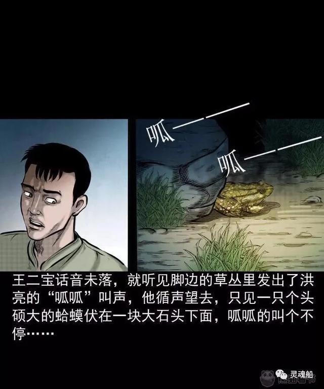 熊猫看书最新版下载，开启知识海洋探索之旅