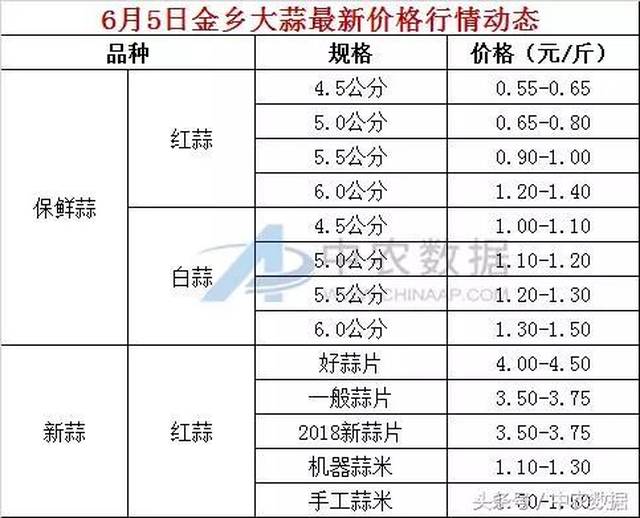 大蒜今日最新价格表及市场走势深度解析