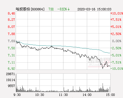 哈投股份最新消息全面解读与分析