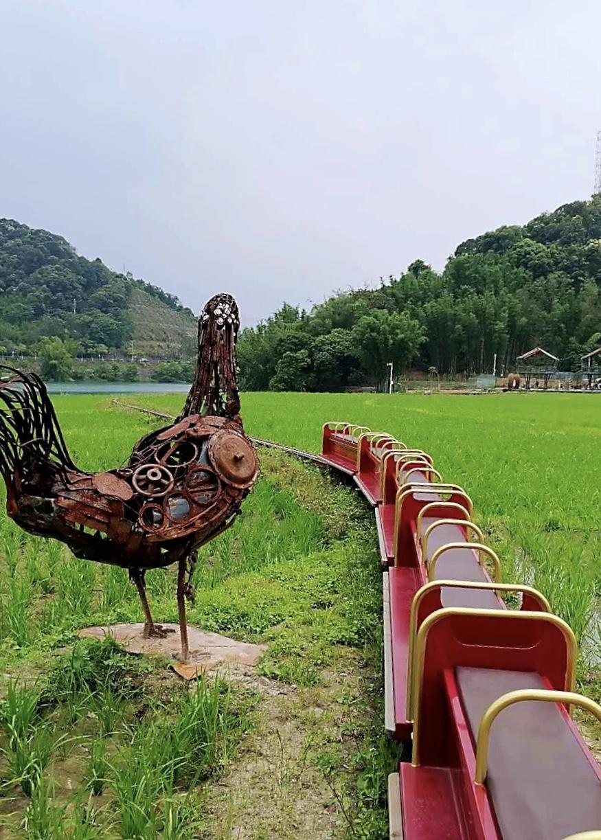 探索未知旅程，寻找小小最新动态