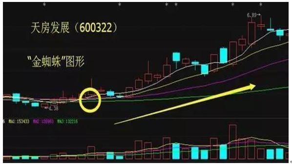 金蜘蛛最新招聘信息与职业前景展望分析