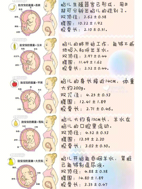 会算数的胎儿，早期智力发展研究取得新突破