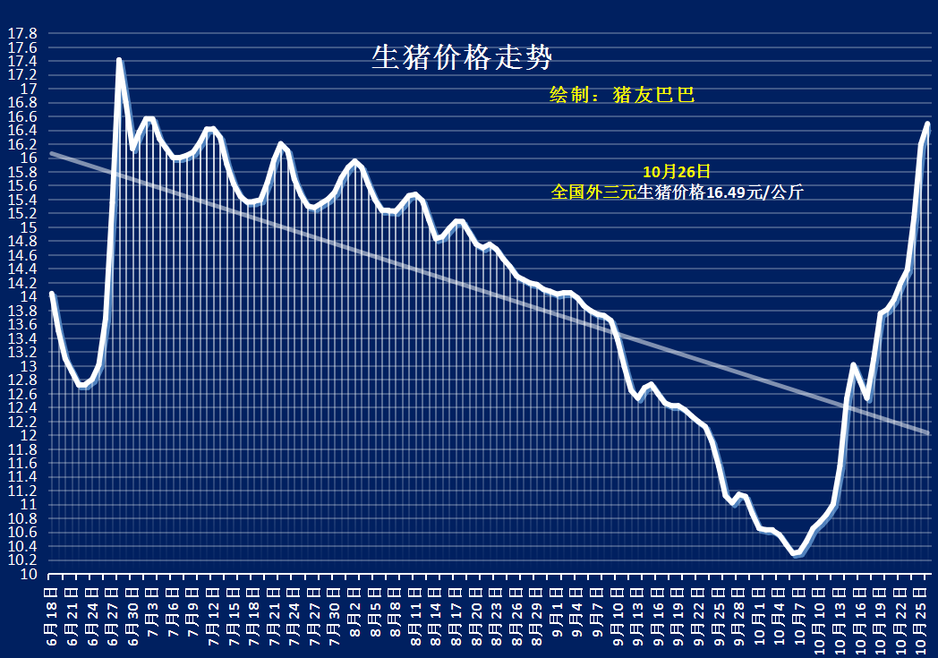 今日灵宝猪价更新，市场走势及影响因素深度解析