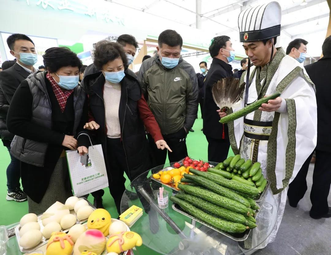 天津科润黄瓜新品种，引领农业科技创新风潮