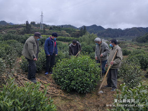 绍濂乡新项目引领乡村发展新篇章