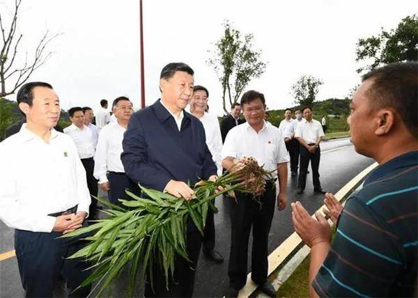 庄圩乡人事任命揭晓，新一轮领导力量引领地方发展