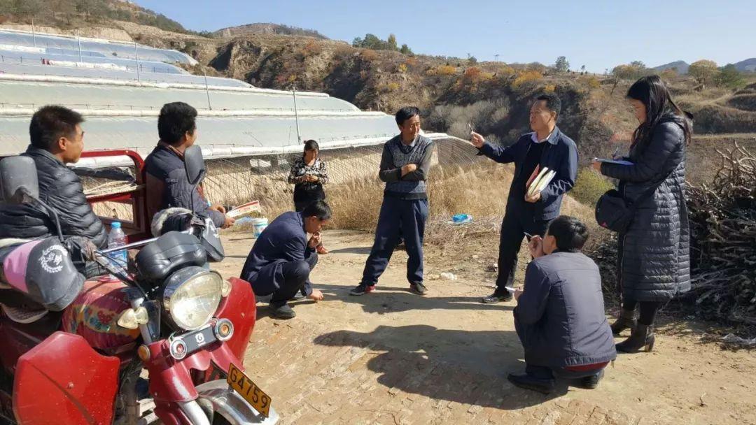 建华镇未来繁荣蓝图，最新发展规划揭秘