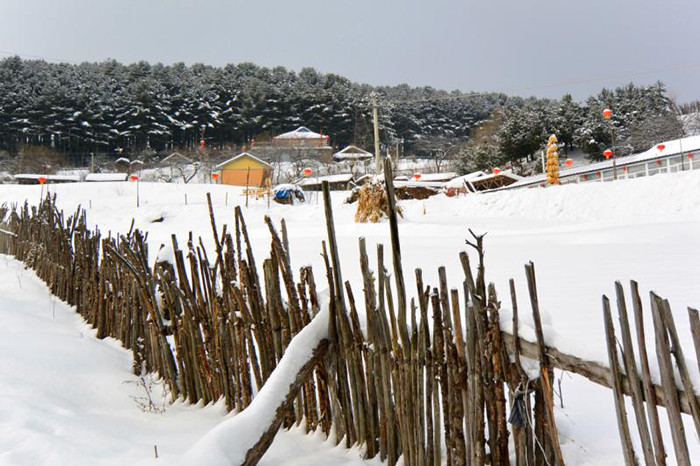 岗巴雪村交通最新动态报道