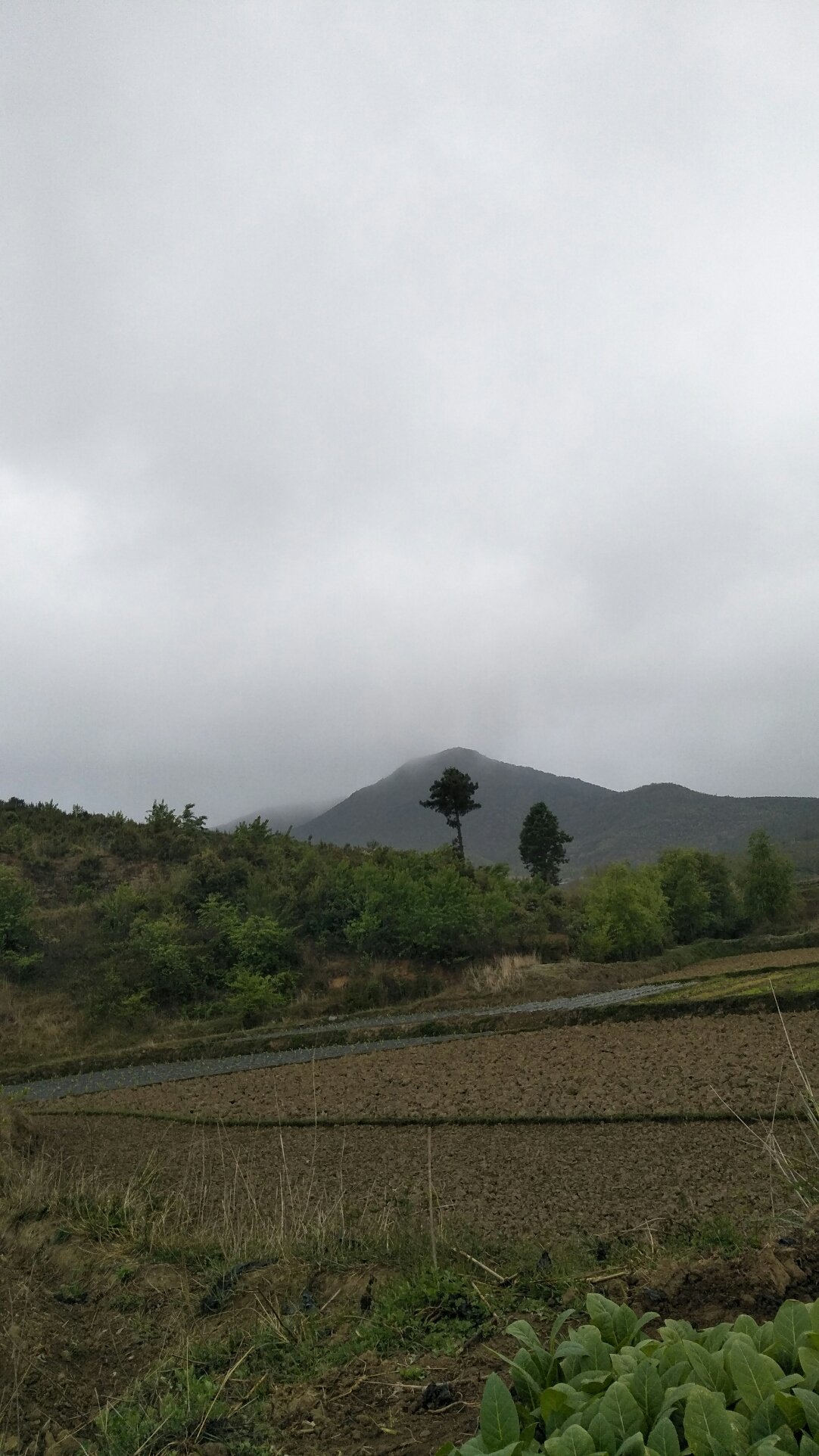 三班镇天气预报更新通知