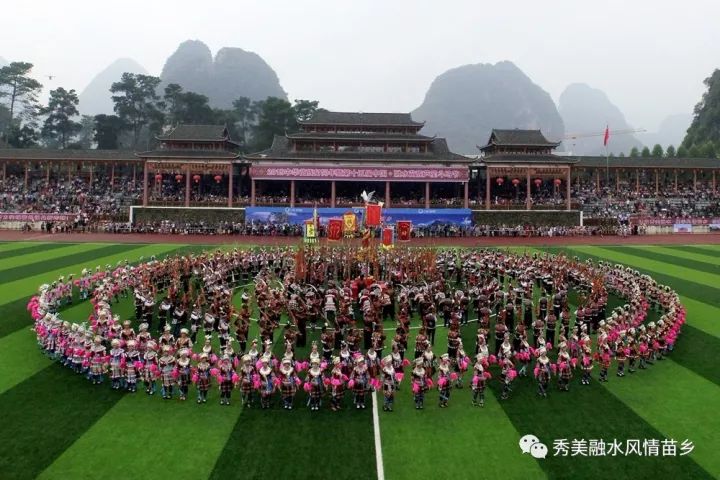 金平苗族瑶族傣族自治县图书馆新领导团队亮相，未来展望新篇章