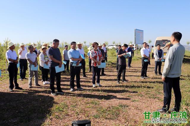 王宝营子乡领导团队引领乡村发展新篇章启动