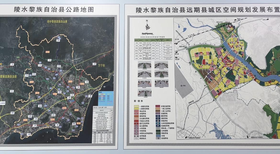 陵水黎族自治县康复事业单位发展规划展望