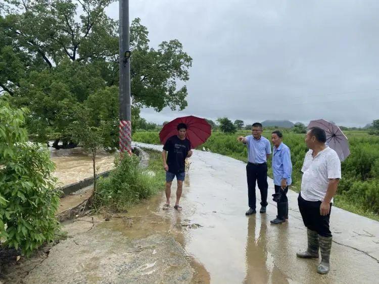 富川瑶族自治县应急管理局最新发展规划概览